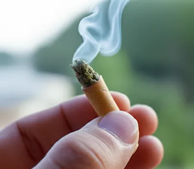 Illustration spliff - Image 1