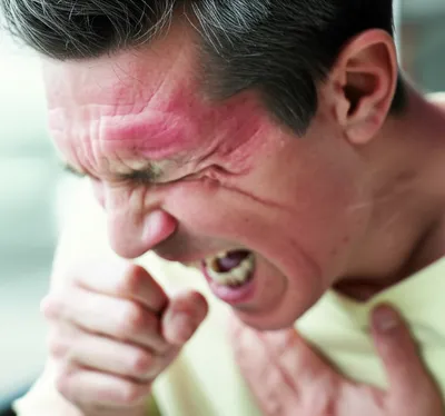 Illustration hocks - Image 1