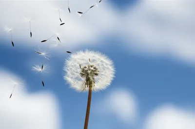 Illustration floating - Image 1