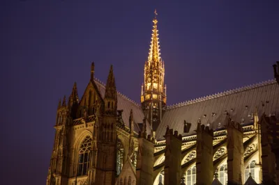 Illustration crowns - Image 1