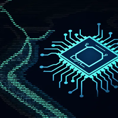 Illustration software