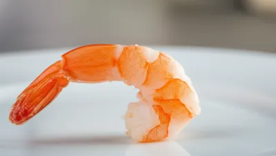 Illustration crevette - Image 1