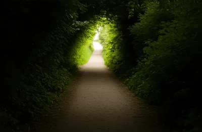 Illustration door - Image 1