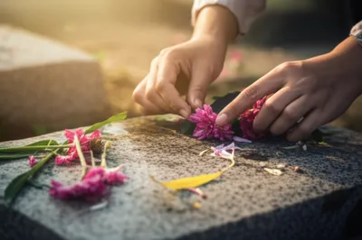 Illustration commend - Image 1