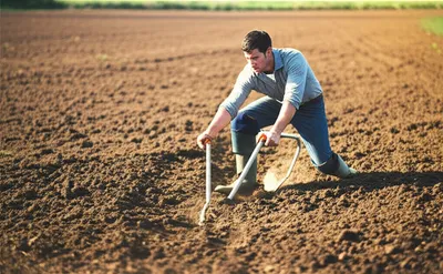 Illustration tilling - Image 1