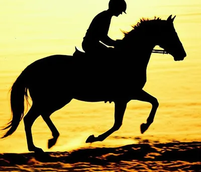 Illustration cantering - Image 1