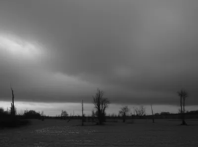 Illustration leaden - Image 1