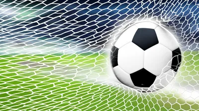 Illustration netting - Image 1