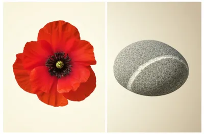 Illustration differentiates