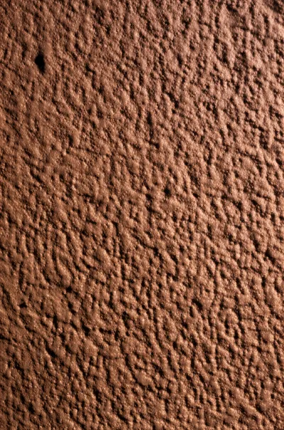 Illustration russet - Image 1