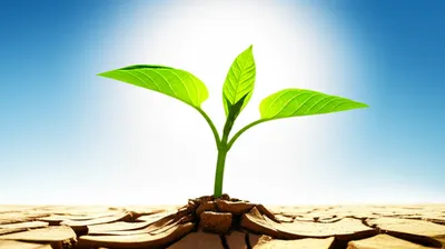 Illustration promises - Image 1