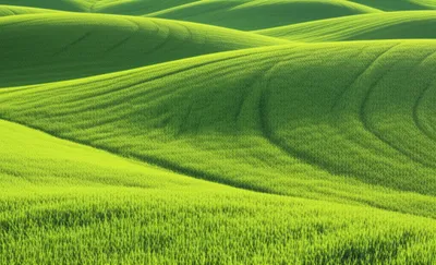 Illustration sward - Image 1