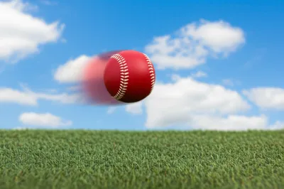 Illustration hop - Image 1