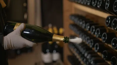 Illustration disgorge - Image 1