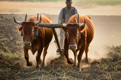 Illustration spectacles - Image 1