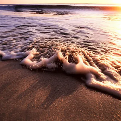 Illustration irreversible - Image 1