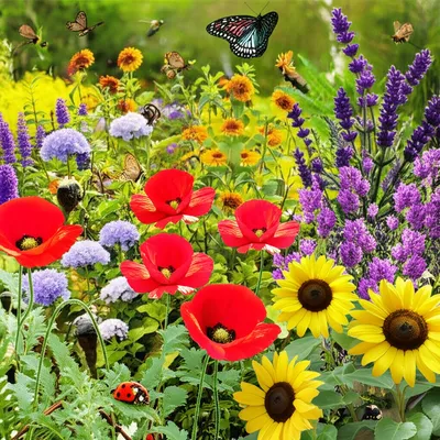 Illustration rife - Image 1