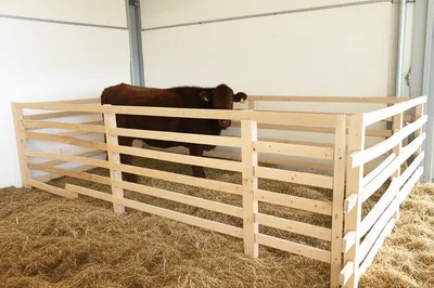 Illustration stall - Image 1