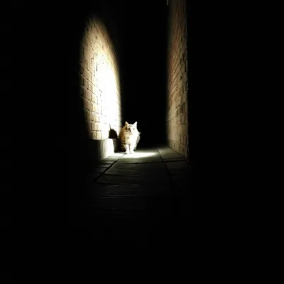 Illustration flashed - Image 1