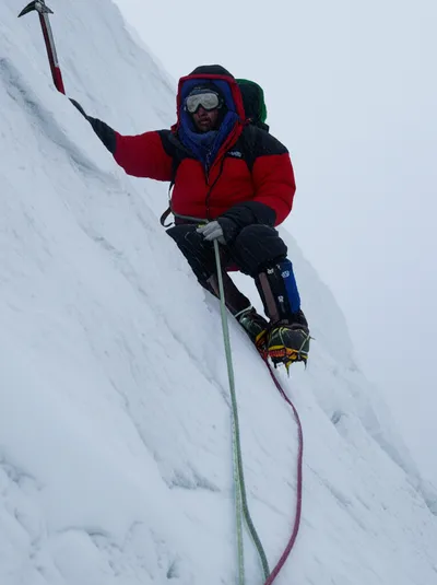 Illustration persisted