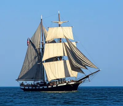 Illustration brig - Image 1