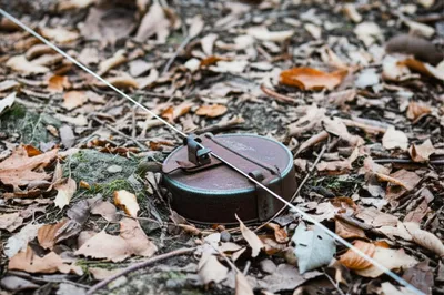 Illustration mine - Image 1