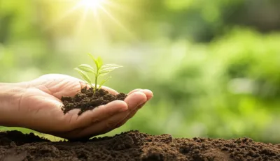 Illustration natures - Image 1