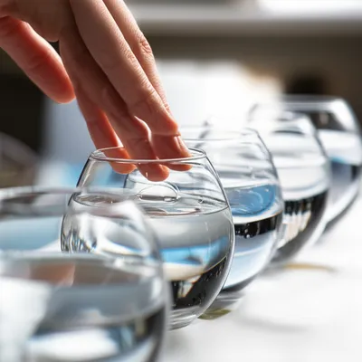 Illustration harmonicas - Image 1