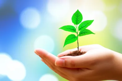 Illustration therapy - Image 1