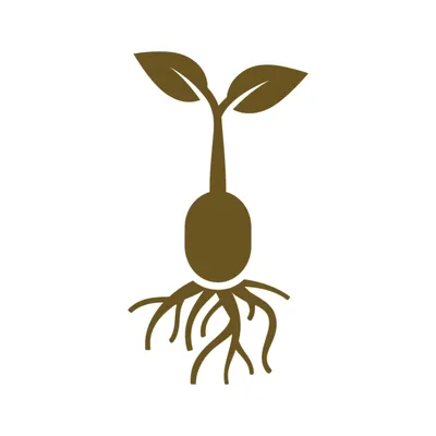 Illustration expansion