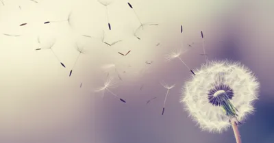 Illustration went - Image 1