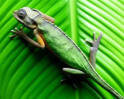 Illustration sticks - Image 1