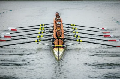 Illustration stroking - Image 1