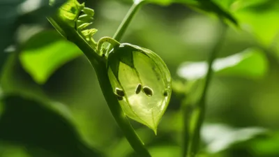 Illustration sack - Image 1