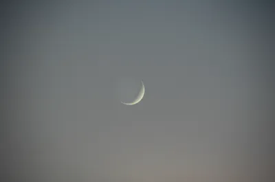 Illustration wan - Image 1