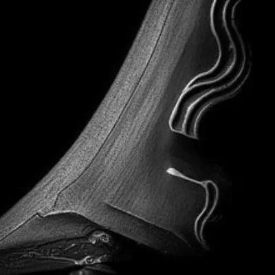 Illustration crease - Image 1