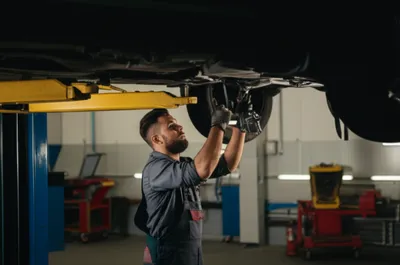 Illustration serviced - Image 1