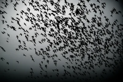 Illustration thick - Image 1