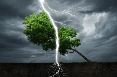 Illustration disunited - Image 1