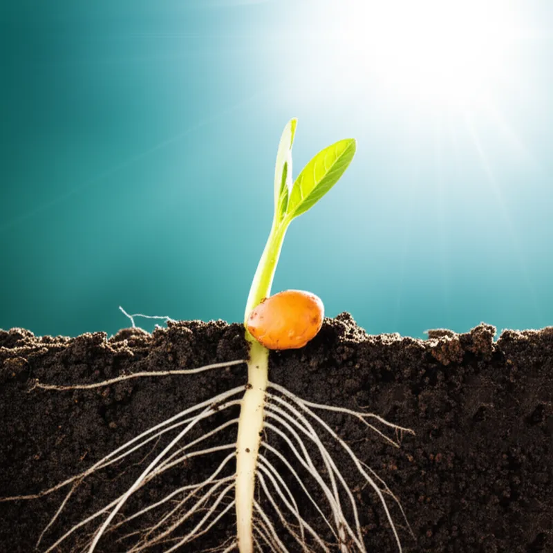 Illustration visuelle du mot « generated » - Générer, produire