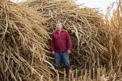 Illustration balk - Image 1