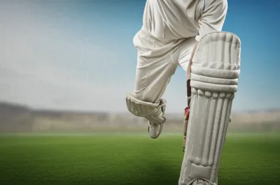 Illustration flannelled