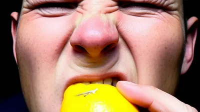 Illustration tang - Image 1