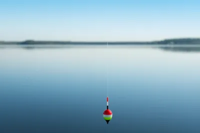 Illustration bobber - Image 1