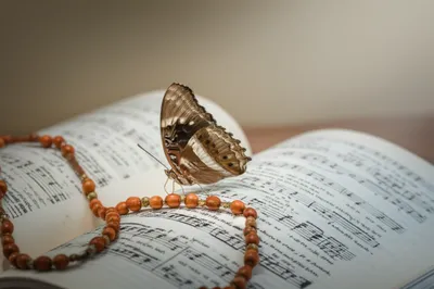 Illustration sister - Image 1