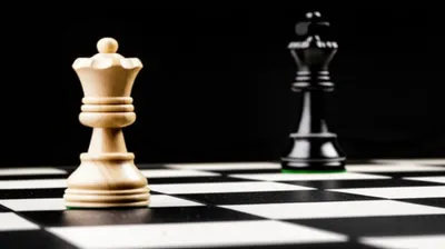 Illustration discover - Image 1