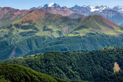 Illustration gradation