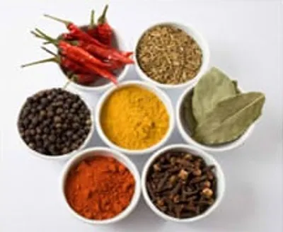 Illustration condiment - Image 2