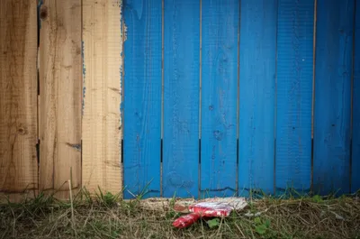 Illustration licks - Image 1