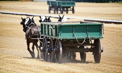 Illustration lorry - Image 1